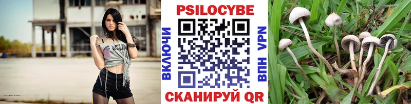 закладка Сосенский Галлюциногенные грибы GOLDEN TEACHER