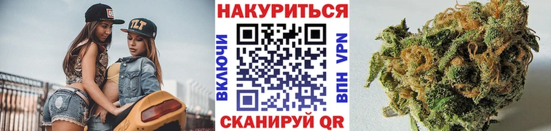 Бошки марихуана гибрид Сосенский